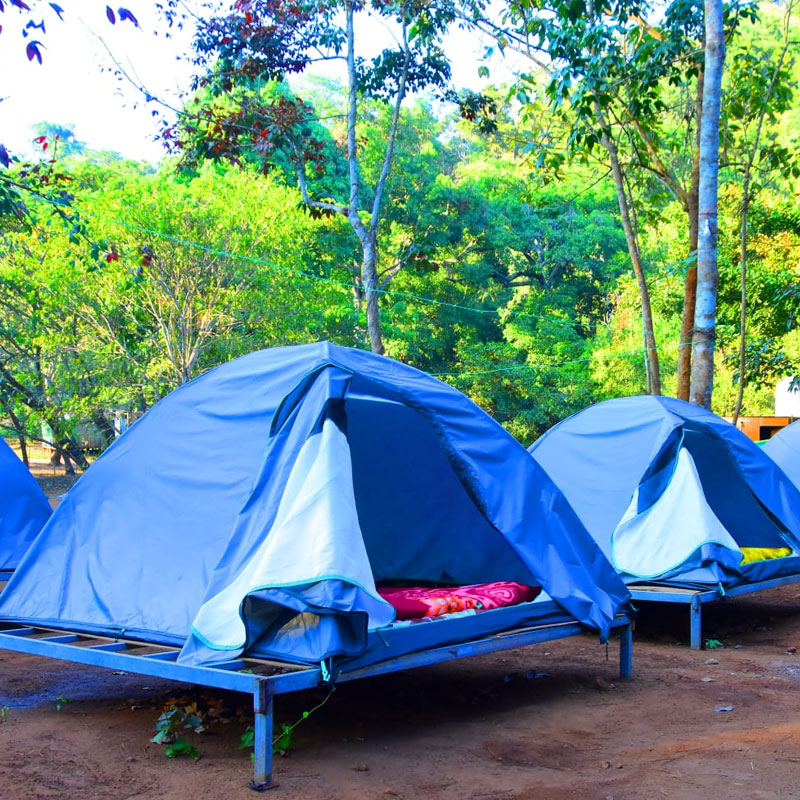 Camping tents in maredumilli